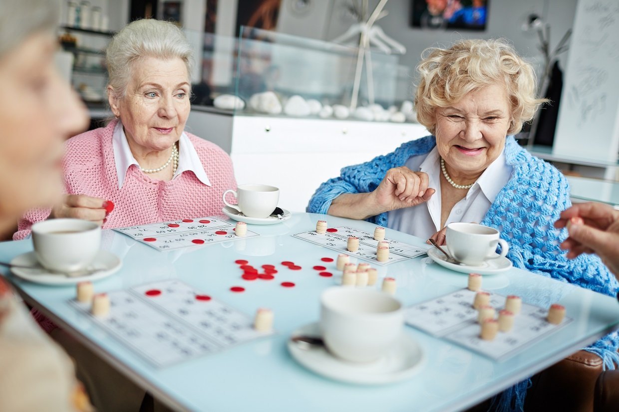 game-of-lotto-2023-11-27-05-34-40-utc.jpg